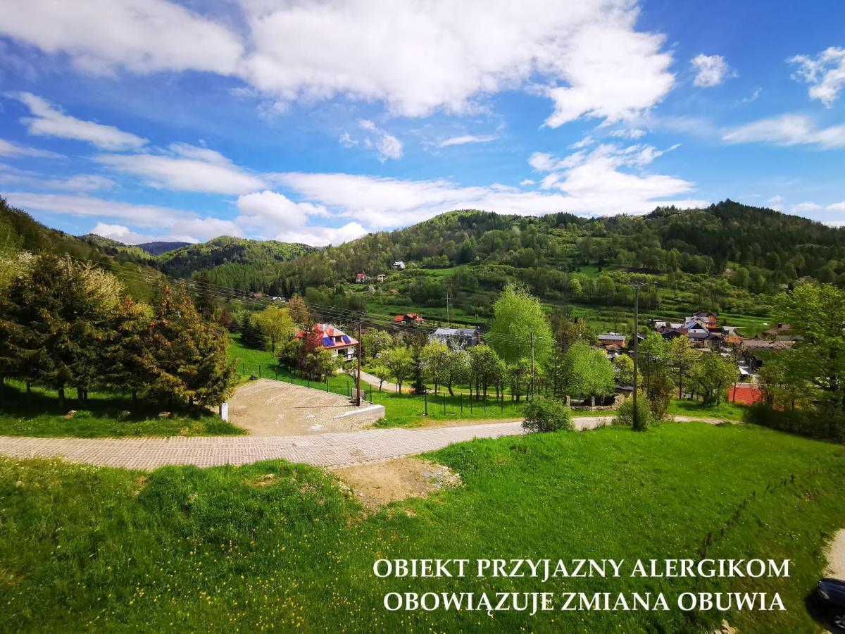 Apartament typu Suite z widokiem na góry