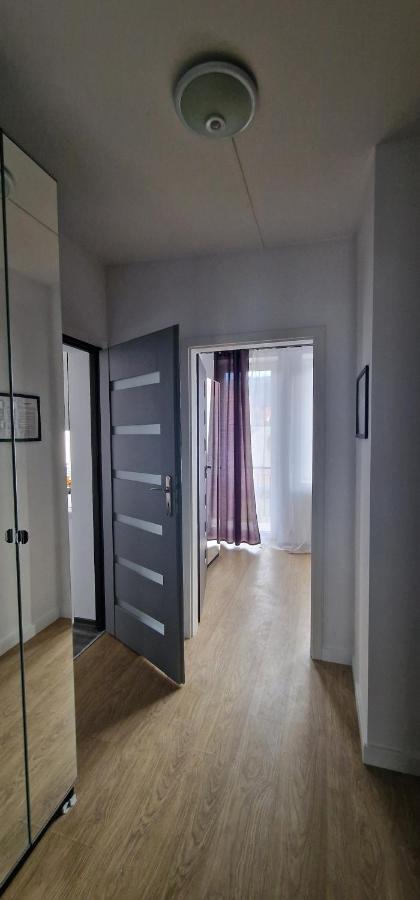 Apartament typu Suite z balkonem