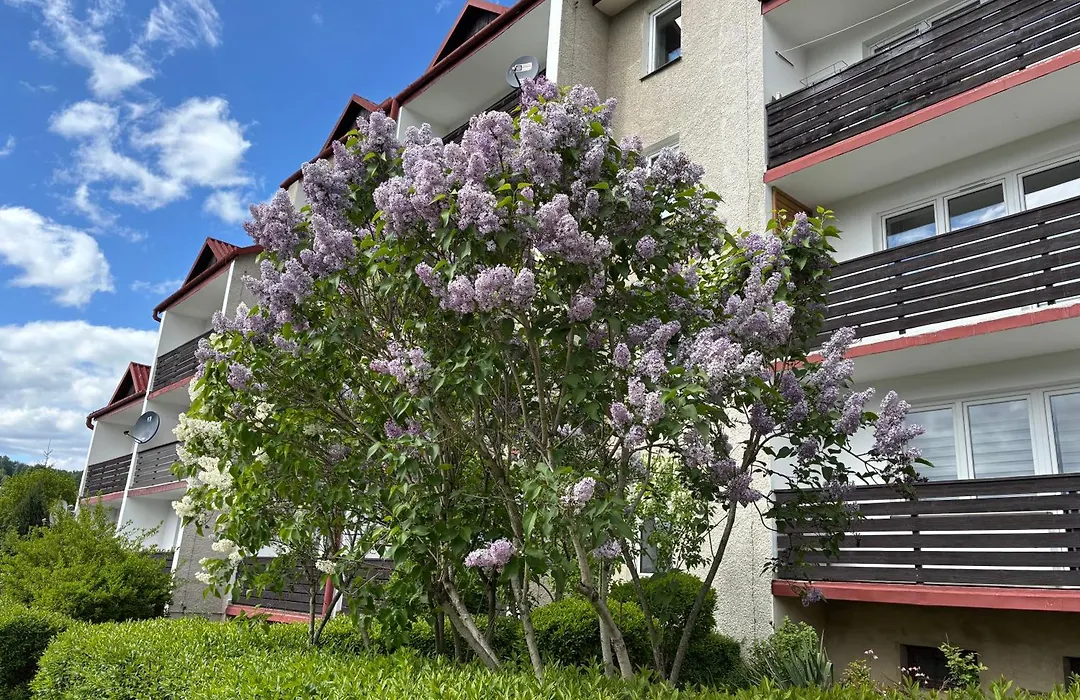 Apartament Babie Lato-1