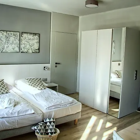 Kwiatowa6 Apartamenty Szczawnica-2