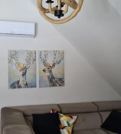 Apartamenty Homole Mansarda-3
