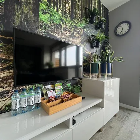 Apartament Dzika Paproć-3