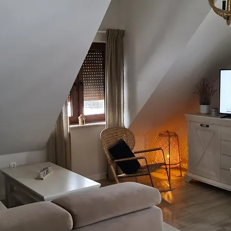 Apartamenty Homole Mansarda-2