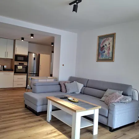 Apartament Antoś-3