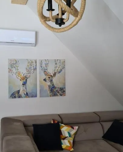 Apartamenty Homole Mansarda Szczawnica