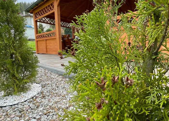Willa Pieniny Apartament Szczawnica