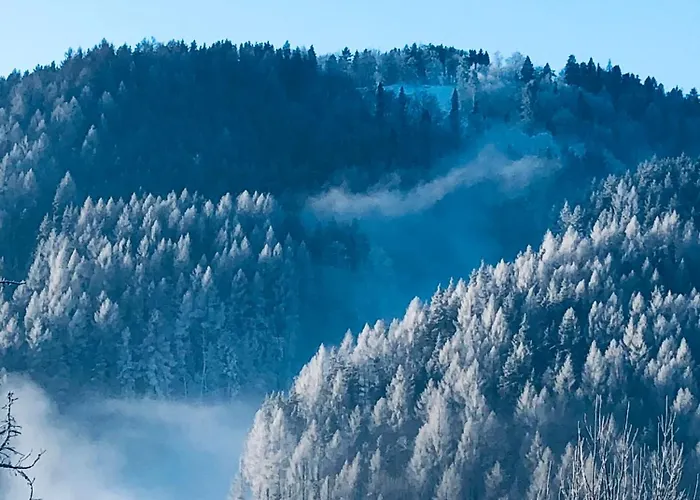 Na Świerkowym Strychu Szczawnica