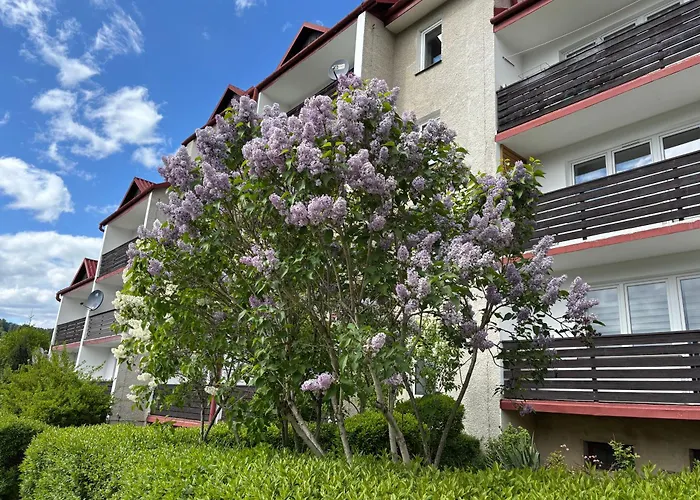 Apartament Babie Lato Szczawnica