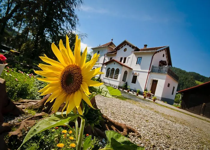 Apartament Stary Dwór Szczawnica