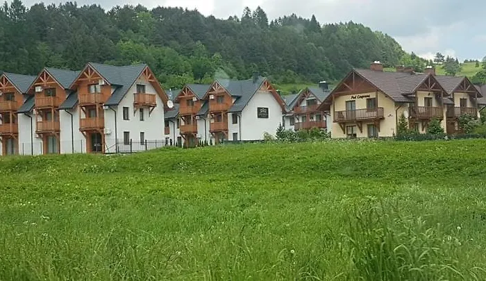 Apartamenty Homole Apartament D5 Szczawnica
