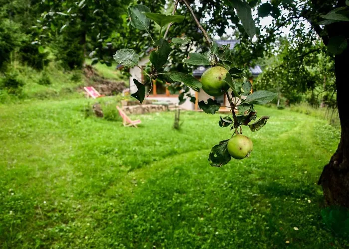 Apartament Pod Klonem Szczawnica