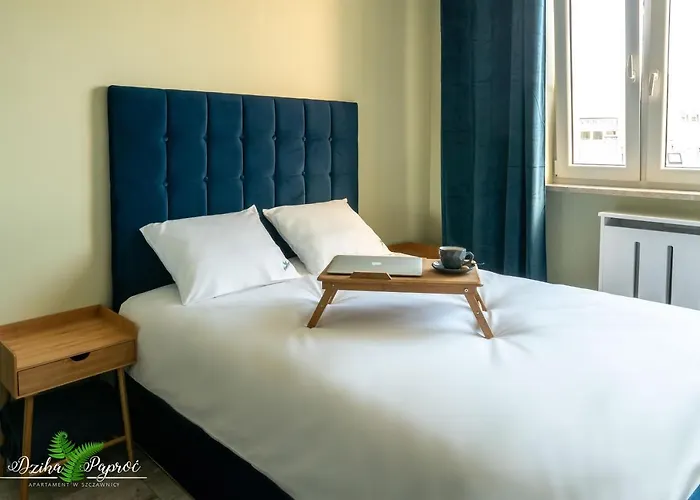 Apartament Dzika Paproć Szczawnica